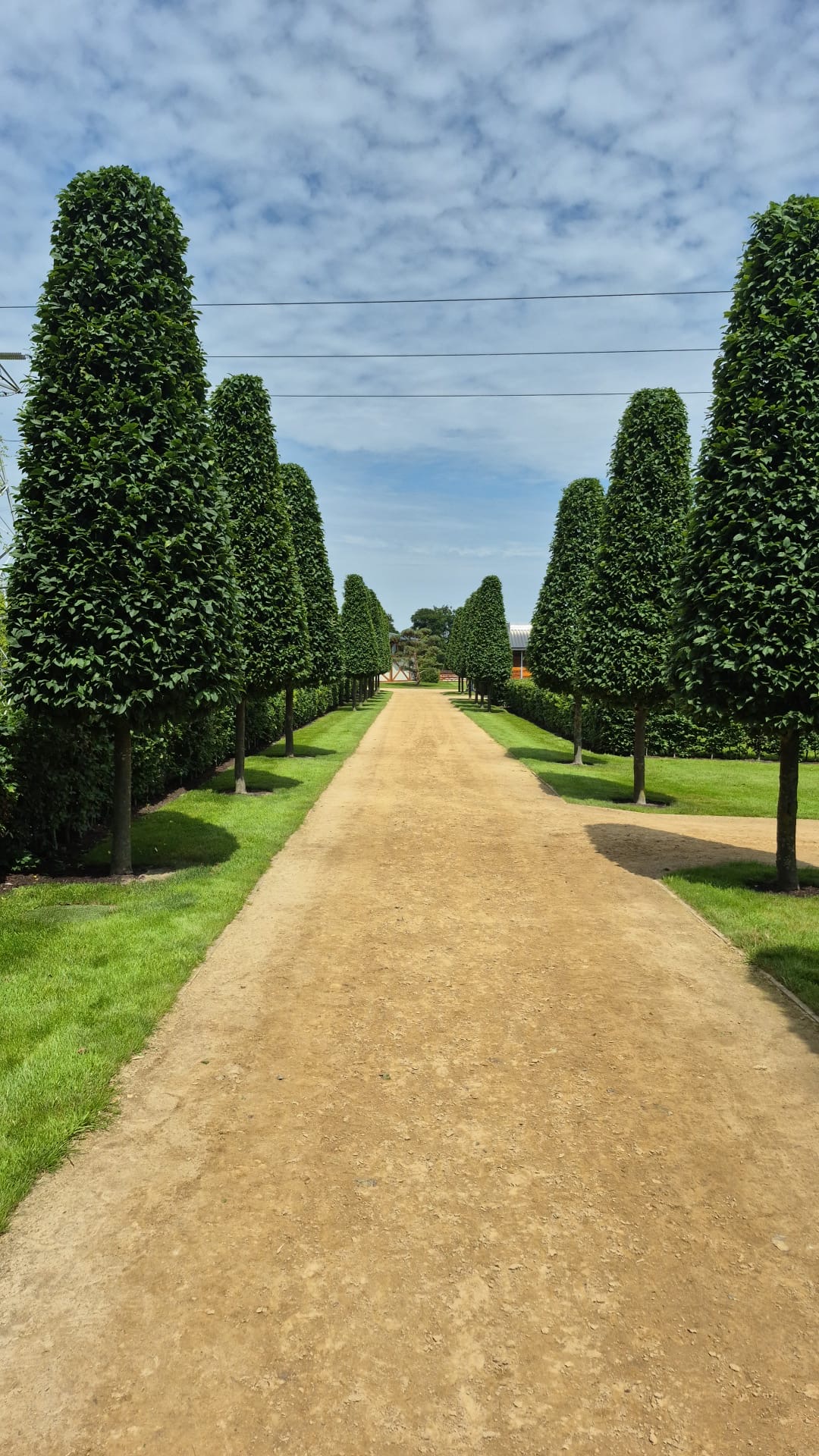 Hedge & Boundary Work