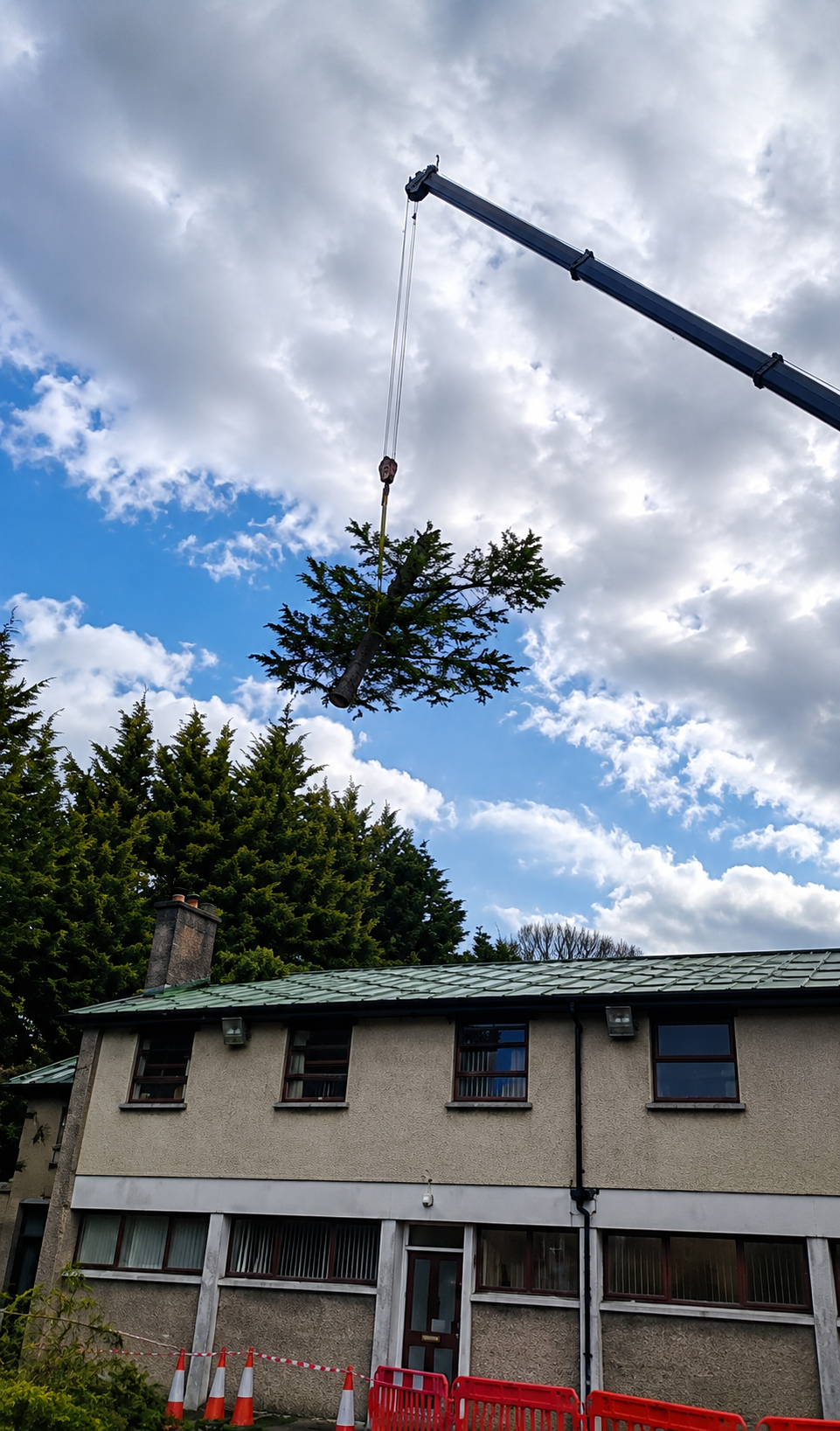 Specialist Tree Preservation Solutions